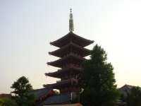DSC01001.JPG